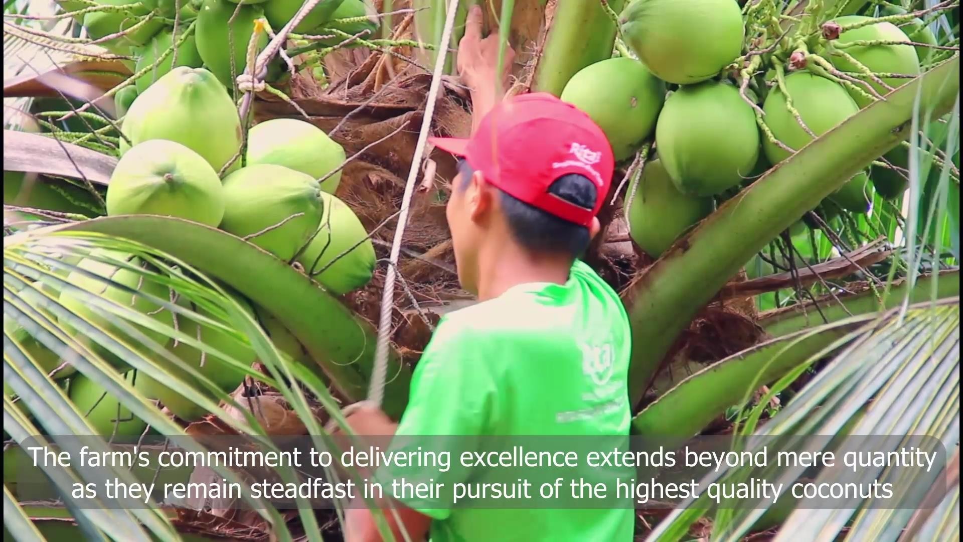 RITA Xây Dựng Vùng Nguyên Liệu Sạch – An Toàn Từ Vườn Ra Thị Trường