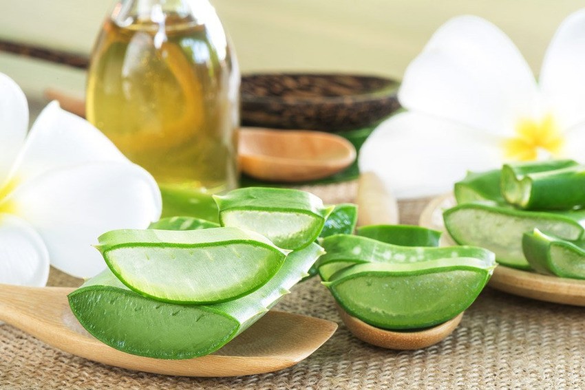 Nước Yến Nha Đam – Nguồn Dinh Dưỡng Vượt Trội Cho Sức Khỏe